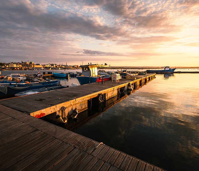 Flexibility in Dock Types