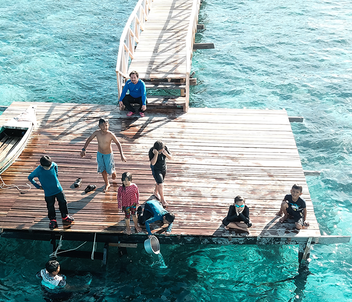 Custom Integrations in Existing Docks